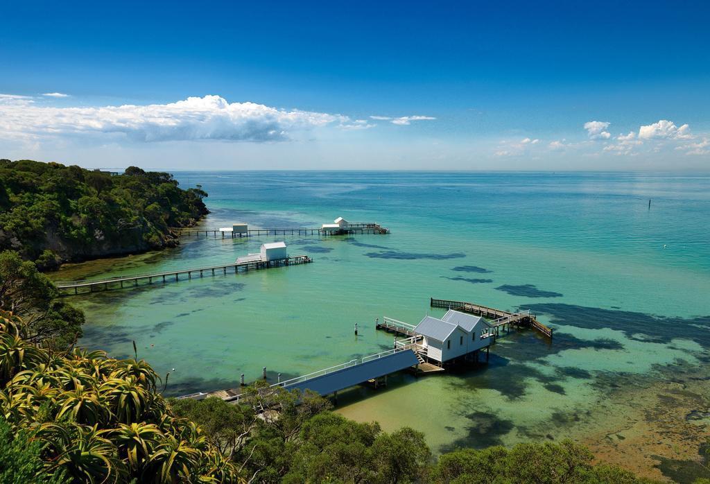 Bayplay Beach Cottage - Pet Friendly Queenscliff Phòng bức ảnh