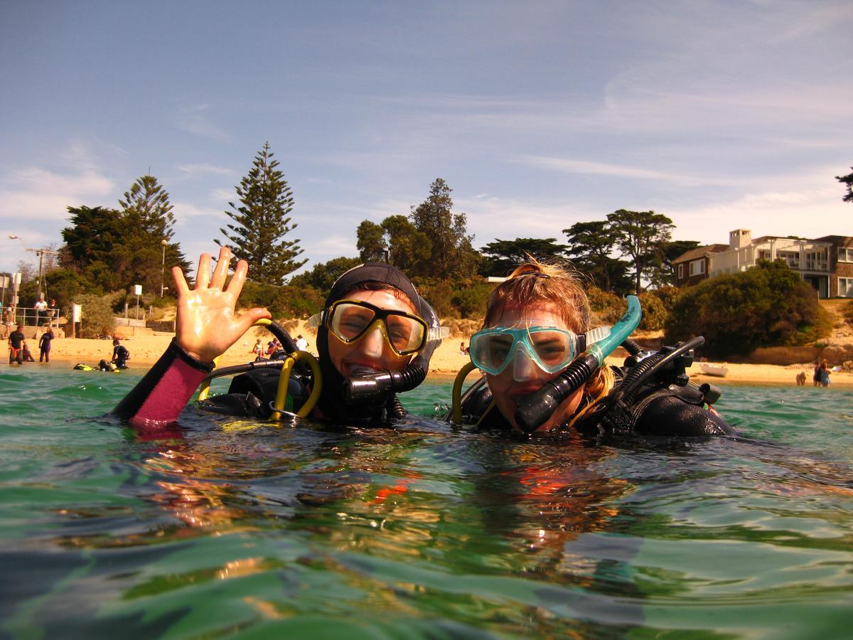 Bayplay Beach Cottage - Pet Friendly Queenscliff Ngoại thất bức ảnh